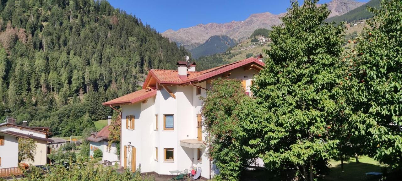Appartamento Mary - Casa Green - Dog Friendly, Box Auto Коголо Екстериор снимка